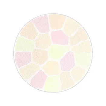 ALBION ELEGANCE La Poudre Haute Nuance Face Powder