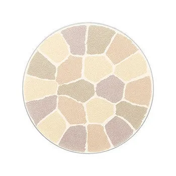 ALBION ELEGANCE La Poudre Haute Nuance Face Powder