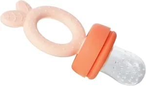 PandaEar Silicone Baby Food Fruit Feeder Pacifier